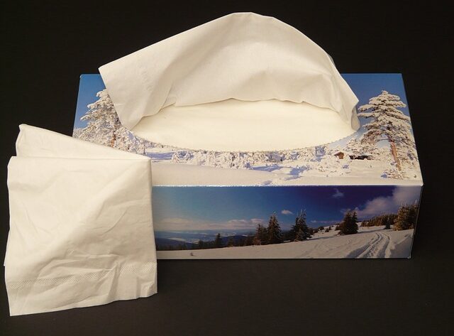 Hvordan papirhåndklæder kan påvirke miljøet og din sundhed